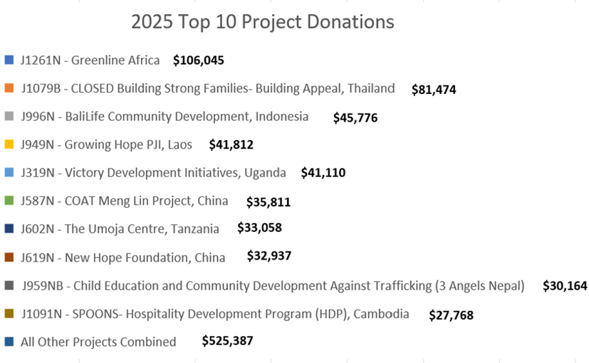 2025 Top 10 Projects