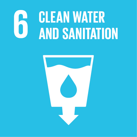 SDG Icon